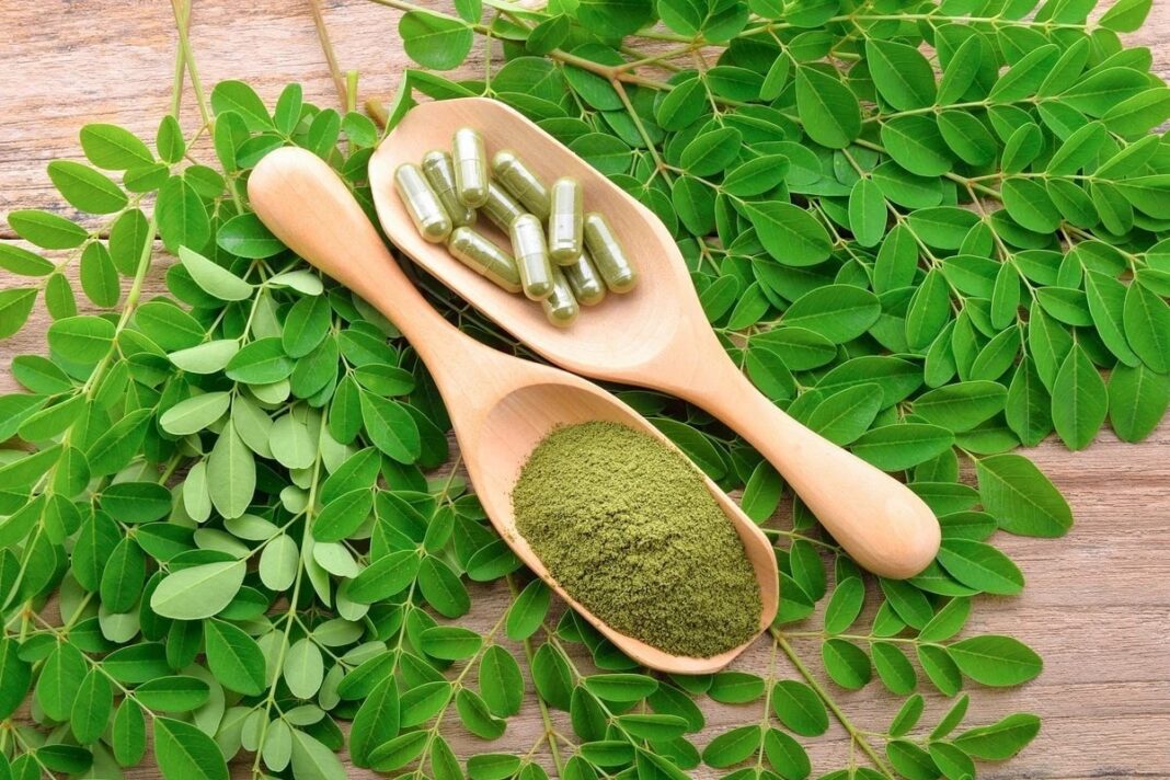 moringa-powder-benefits-how-to-use-moringa-powder